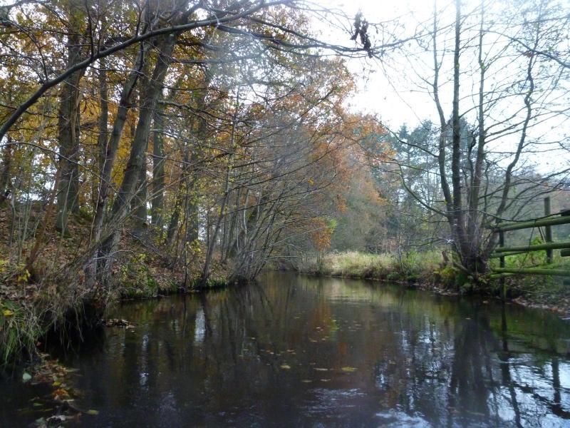 Herbst